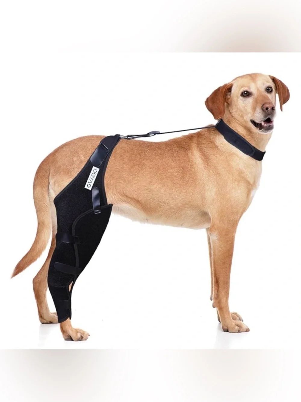 NWOB Dog Knee Brace XXL Right Leg ACL Patella Arthritis Full Wrap Hip Support.